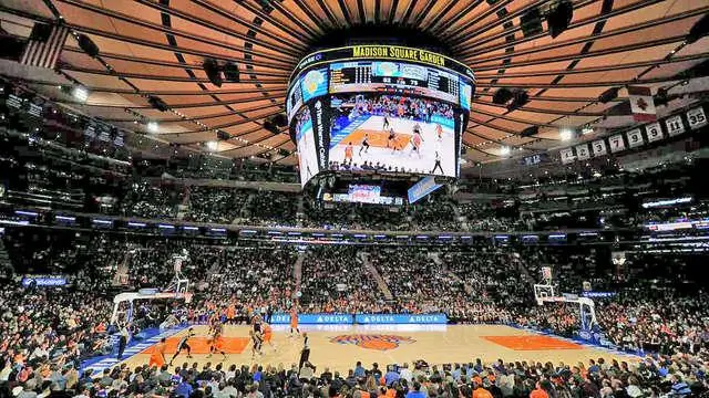 Нет доказательств роста хищничества яиц в Арктике