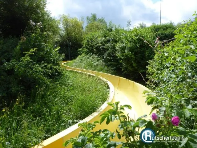 Затененное место может защитить виды от быстрого потепления климата: формула может подсказать экологам, какие виды придут на помощь своим собственным «поведенческим спасательным»