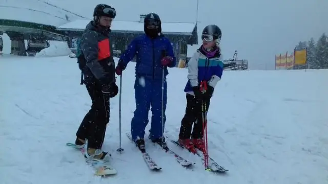 Небольшой кластер нейронов является переключателем для песен мыши: с точным контролем исследователи могут заставить мышь петь или нет по команде