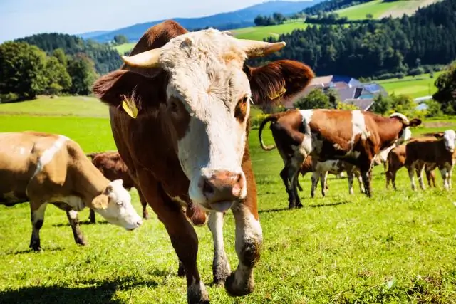 Фрекинг связан с более высоким уровнем радона в домах в Огайо