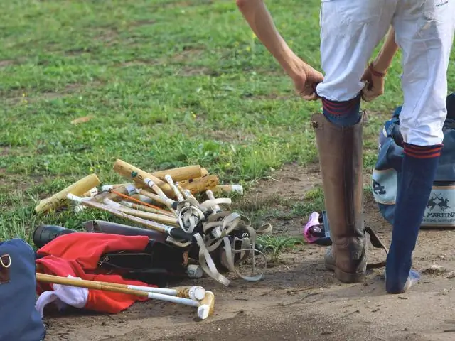 Кости динозавров являются домом для микроскопической жизни: ученые не нашли древнюю ДНК или белки в окаменелостях, но они нашли множество странных микробов