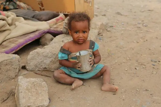 Надвигающееся нашествие насекомых угрожает калифорнийскому вину и авокадо: исследователи планируют контратаку крошечных ос