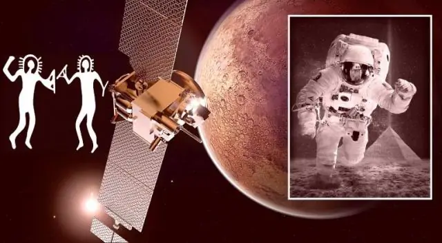 Новые данные подтверждают присутствие микробов в плаценте