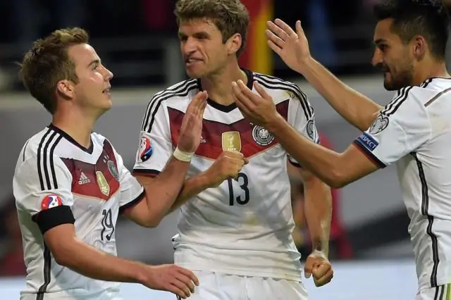 Носимое устройство показывает, как тюлени готовятся к погружению