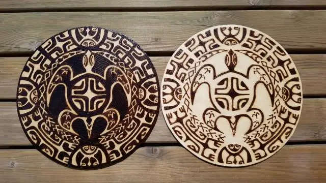 Структура клеток связана с долговечностью медленнорастущих сосен пондероза