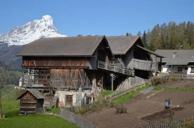 Южноафриканские леса указывают путь к устойчивому будущему