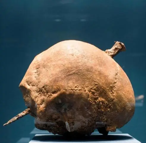 Ранние кельты в Бургундии присвоили средиземноморские продукты и обычаи пиршества