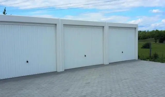 Решение проблемы устойчивости к антибиотикам может быть в вашей кухонной губке