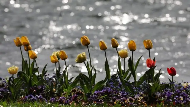 Облака доминируют в неопределенности в предсказании будущего таяния Гренландии