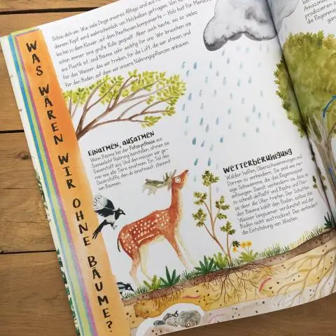 Как деревья влияют на погоду: Стратегии водопользования деревьев могут усилить засуху