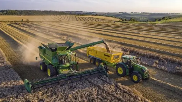 Восстановление сосновых лесов создает убежище для птиц на Среднем Западе