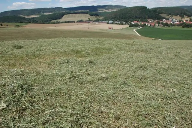 Текущей политики зеленого роста недостаточно для достижения климатических целей Парижского соглашения