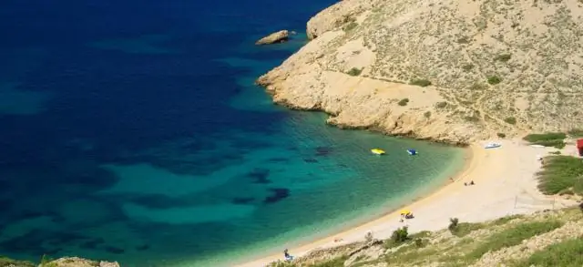 Деревья за качество воды