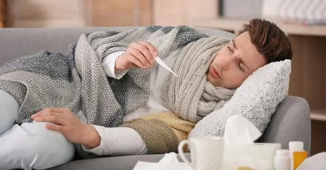 Морские слизни используют бактериальную «оружейную фабрику» водорослей в трехсторонних симбиотических отношениях