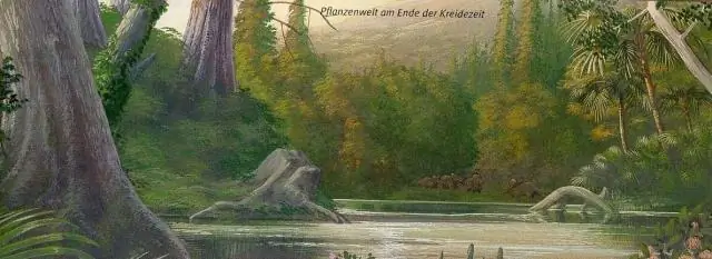 Когда динозавры вымерли, лишайники процветали: массовое вымирание нанесло ущерб наземным растениям, но ДНК показывает, что некоторые комбинированные организмы грибов и растений восстали