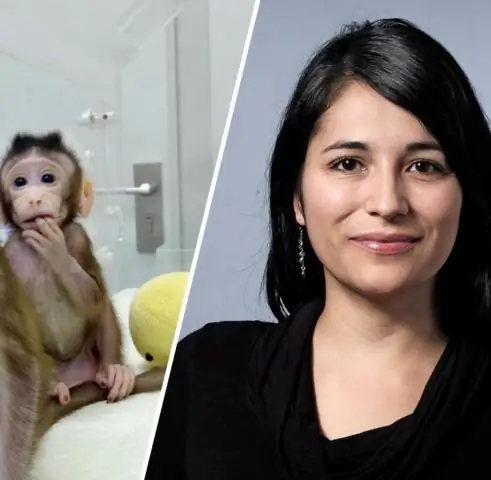 Реакция приматов на смерть: исследователи анализируют 200-летнюю «сравнительную танатологию» нечеловеческих приматов