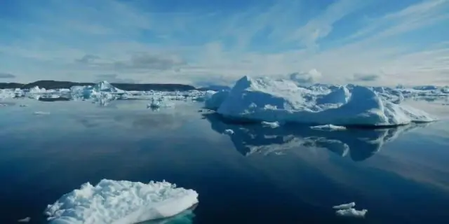 Кораллы в Сингапуре, вероятно, переживут подъем уровня моря