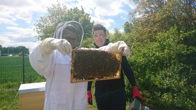 Химический язык растений зависит от контекста