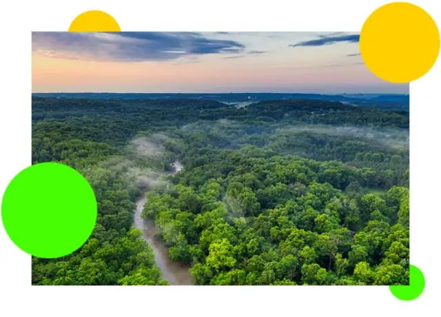 Изделия из древесины сокращают менее одного процента глобальных выбросов углерода