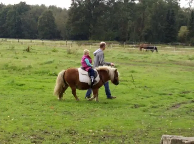 Удаленное, но замечательное: Освещение самых маленьких жителей самой большой океанской пустыни