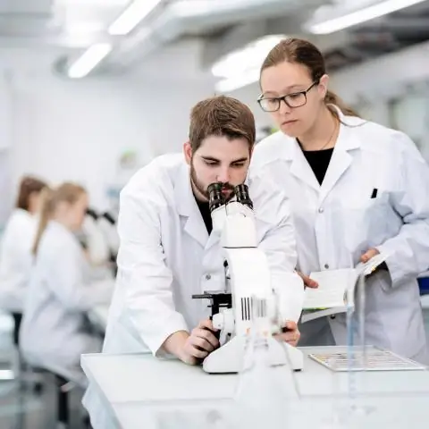 Паразитология: О нитях и фонтанах