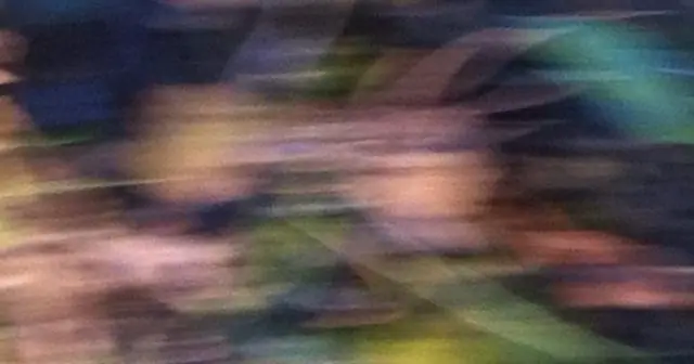 Одиночество порождает агрессию у пауков (а не наоборот)