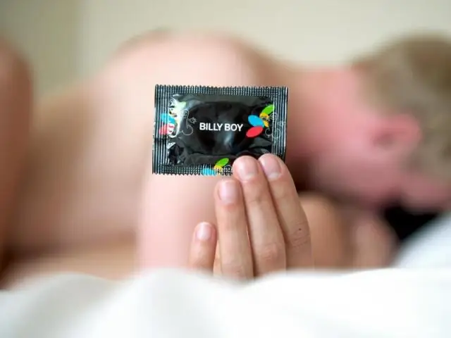 Последняя свободная от хламидий популяция коал может защитить будущее видов