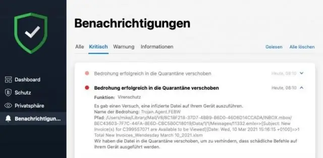 Первая полная электрическая схема нервной системы животного