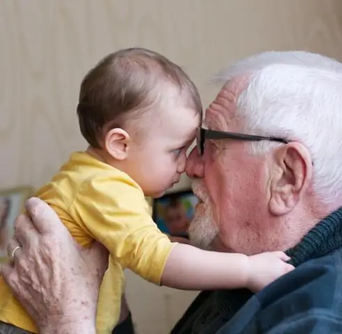 Исследователи, наконец, могут модифицировать митохондриальную ДНК растений: инструмент может обеспечить генетическое разнообразие сельскохозяйственных культур