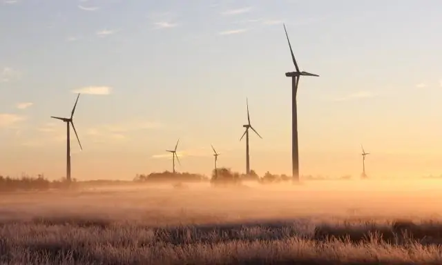 Ветер и тепло способствуют миграции насекомых