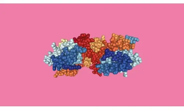 Генетический путь может повысить выживаемость кораллов