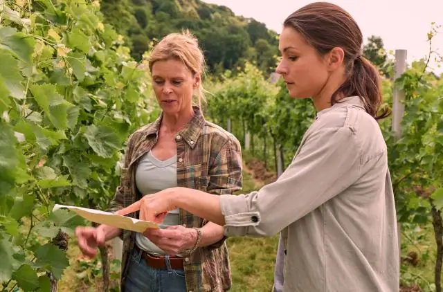 Исследования бабочек, длившиеся десятилетия, показывают, что распространенные виды находятся в упадке