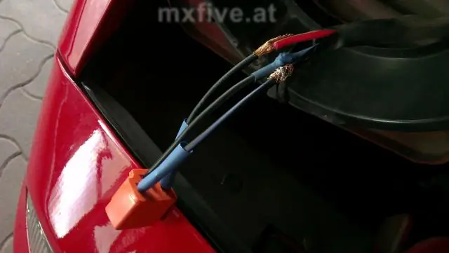 Дизайнерские белки образуют провода и решетки на поверхности минералов: результаты закладывают основу для инженерных наносхем, датчиков и фильтров