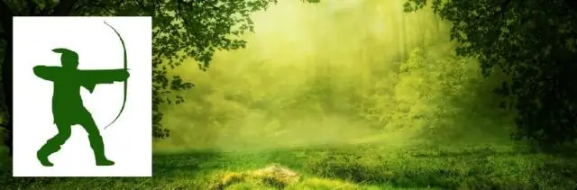 Новое исследование помогает прогнозировать местонахождение синих китов, чтобы корабли могли их избегать: приложение, которое сейчас находится в разработке, предоставит информацию в руки экипажей и мен