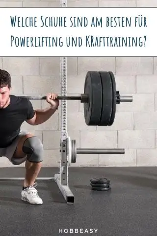 Морские ученые обнаружили важную, но недооцененную роль морских ежей в экосистеме ламинарии