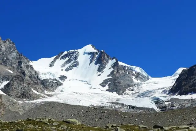 Обнаружена старейшая полностью сохранившаяся лилия: 115 миллионов лет назад тропические цветущие растения были, по-видимому, очень разнообразны и обладали всеми типичными характеристиками