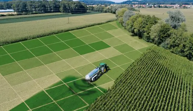 Ген, повышающий урожайность, выявлен в результате 118-летнего эксперимента на кукурузе