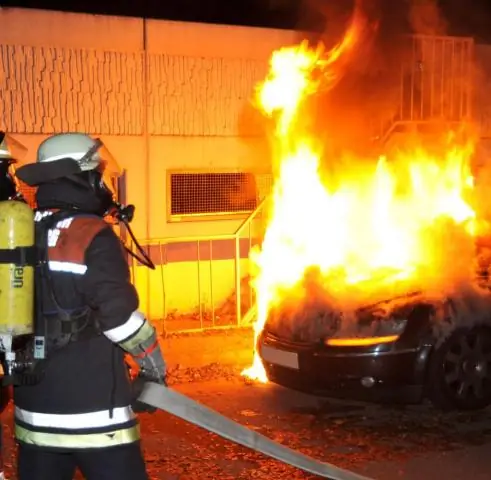 Лесные пожары нарушают важные процессы опыления бабочками и увеличивают риск исчезновения