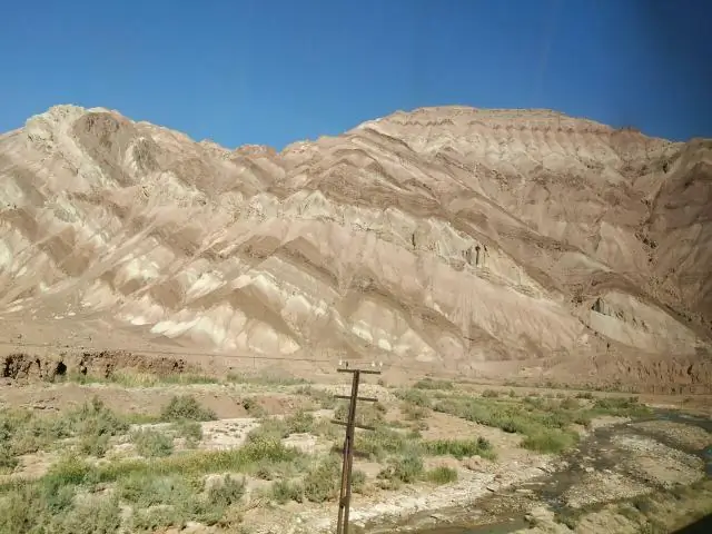 Ранний приход весны нарушает мутуализм между растениями и опылителями