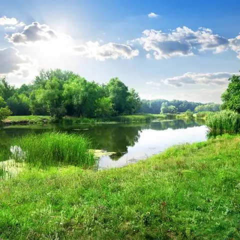 Переход на возобновляемые источники энергии может увеличить энергетическую бедность, показало исследование