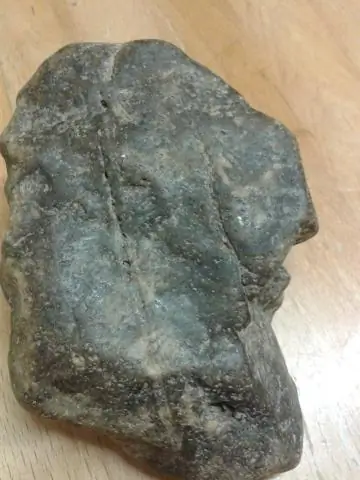 Окружающая среда, а не эволюция, может лежать в основе некоторых различий человека и обезьяны