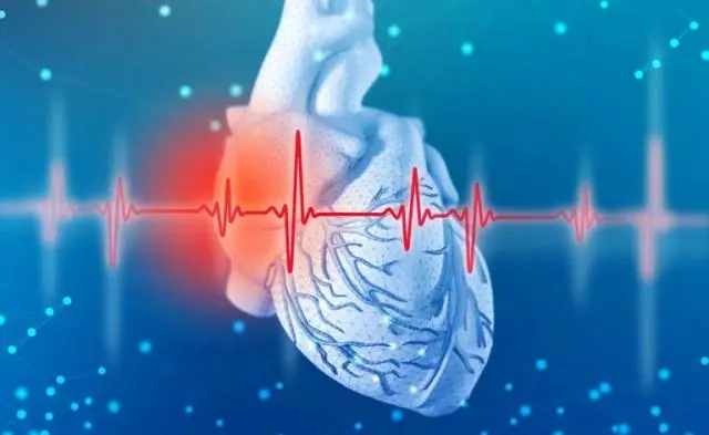 Новое исследование иммунной системы растений: она работает не так, как ожидалось