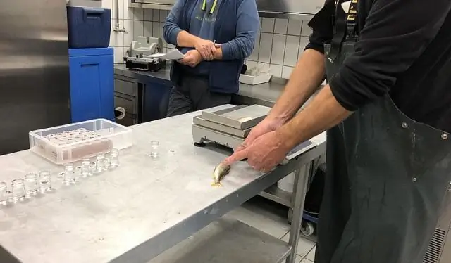 Инвазивные попугаи по-разному влияют на европейское биоразнообразие, граждан и экономику