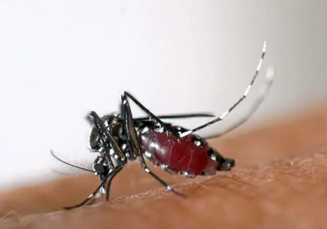 Правовая база для трансмиссивных болезней и землепользования