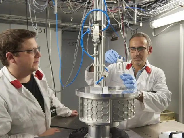 Ученые раскрыли механизм развития вирусных инфекций