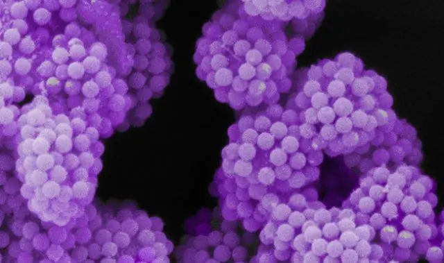 Новый взгляд на ДНК: ДНК-оригами объединяет усилия с молекулярными моторами для создания наноразмерных машин