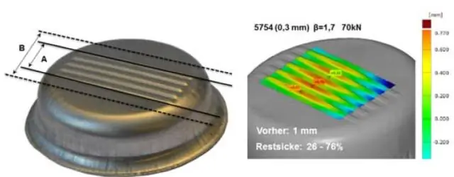 Моделирование предсказывает поведение синих китов при поиске пищи, помогая усилиям по управлению популяцией