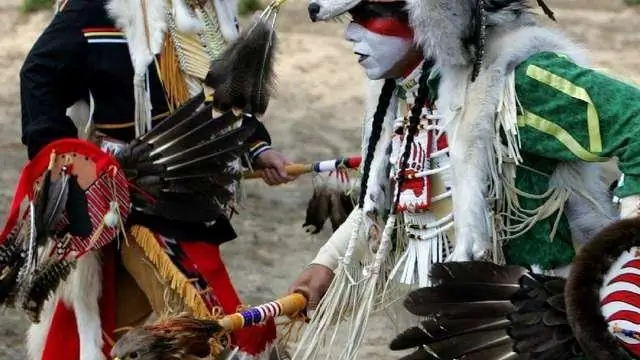 Генетическое сходство остеосаркомы между собаками и детьми: новые открытия для этого смертельного рака костей могут привести к улучшению лечения людей и домашних животных