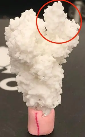 Клеточные мембраны: Сложные молекулярные машины в действии