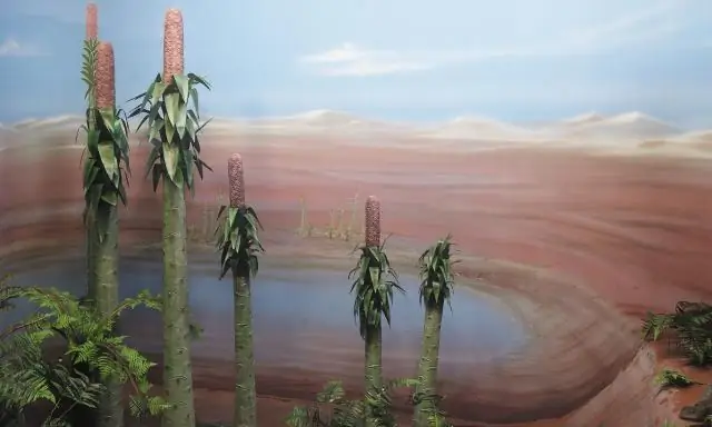 Водоросли, живущие внутри грибов: как впервые появились наземные растения